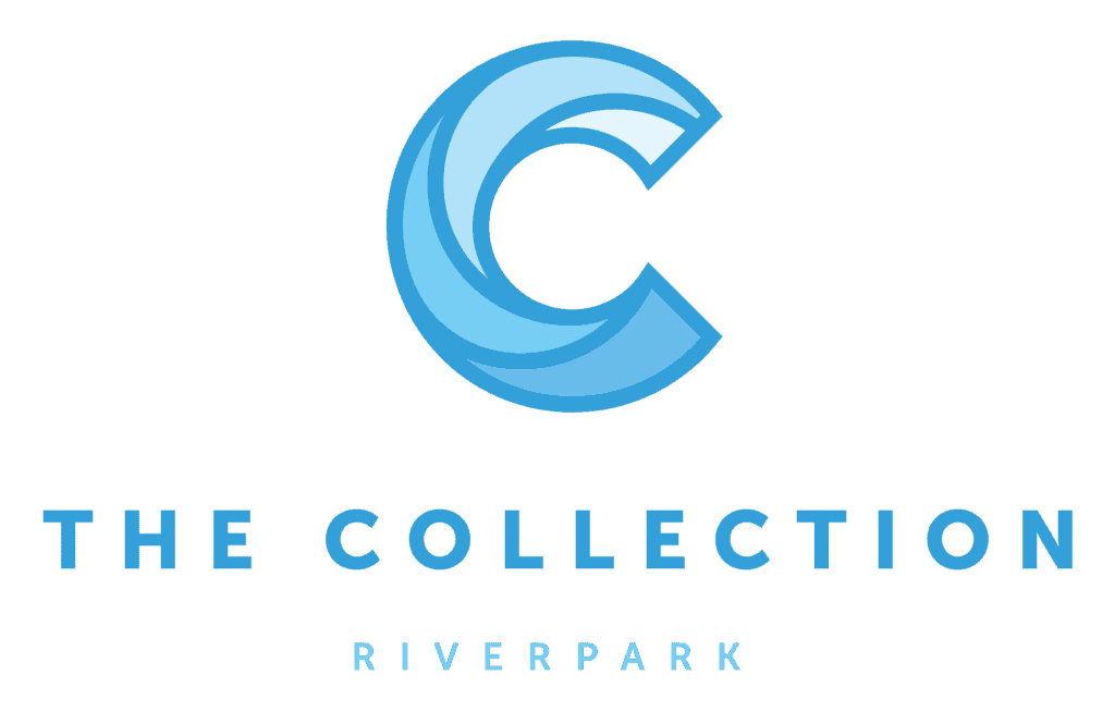 The Collection Logo